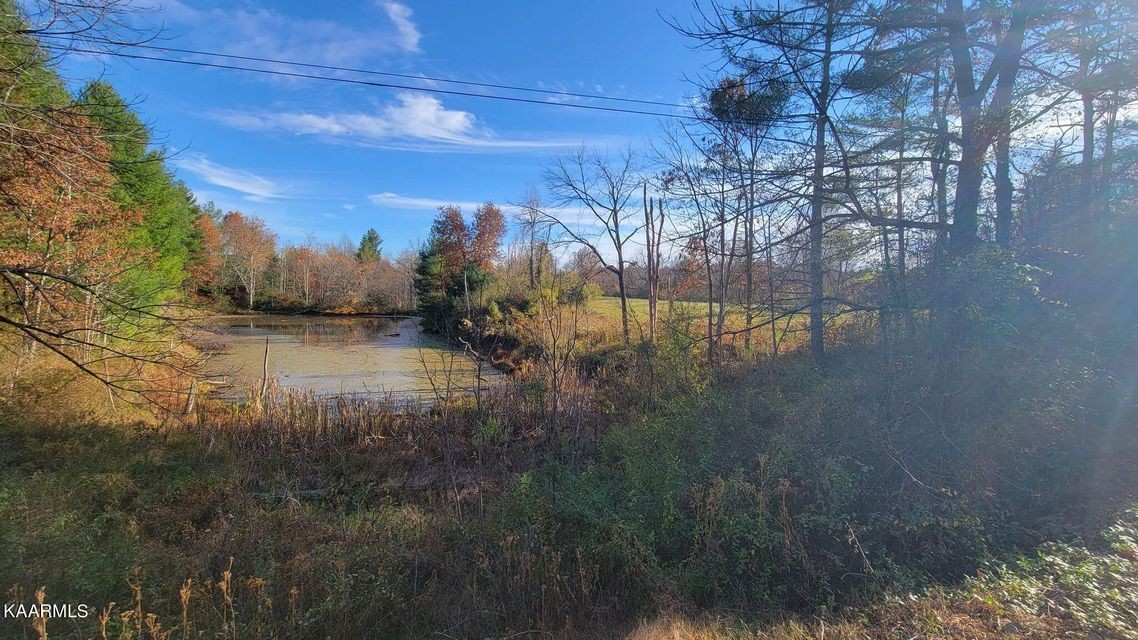 0 Mt Helen Road Allardt, TN 38504 - Photo 7 of 19 Gallery Image 7