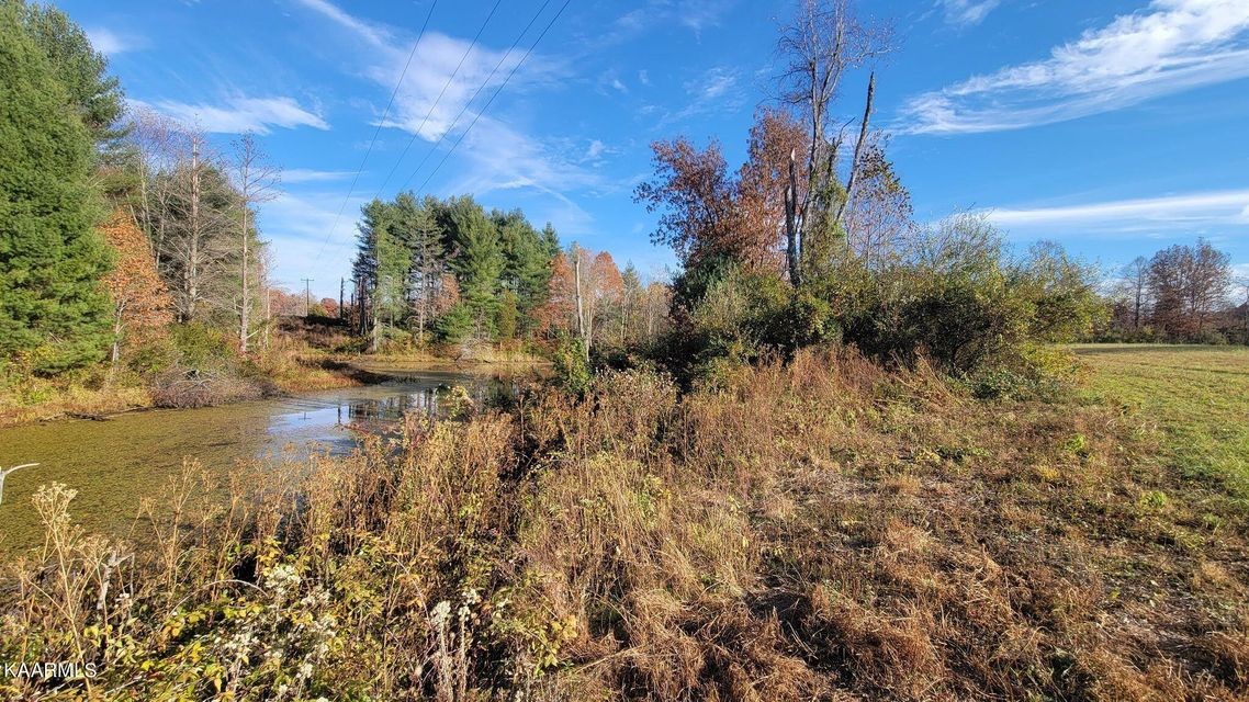 0 Mt Helen Road Allardt, TN 38504 - Photo 10 of 19 Gallery Image 10
