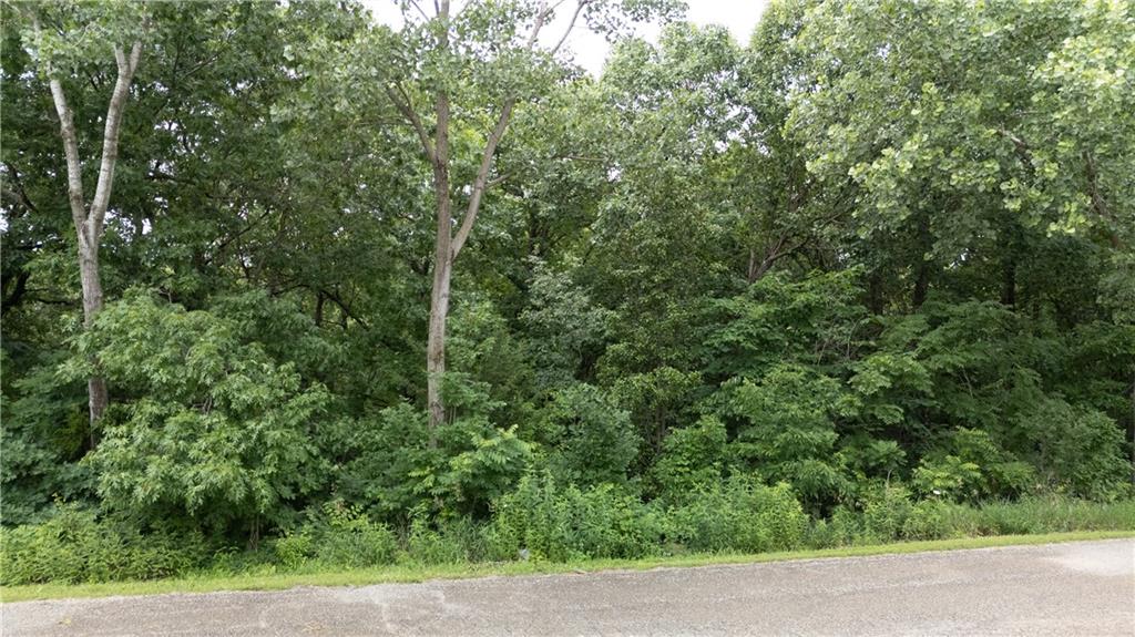Lot 68 Southeast 591st Road Warrensburg, MO 64093 - Photo 10 of 15