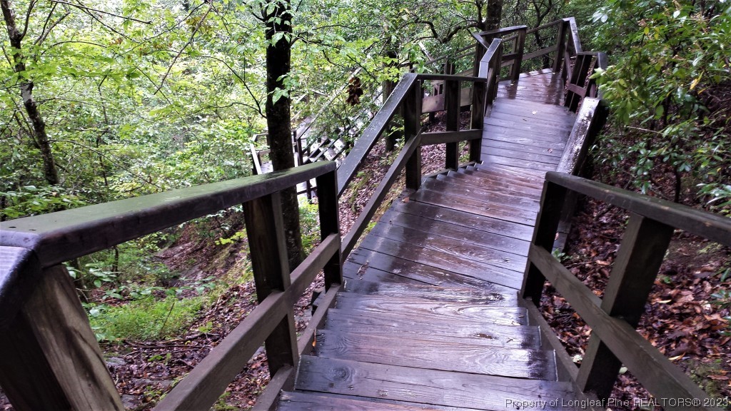Suggs Road Dunn, NC 28334 - Photo 4 of 9 a balcony with wooden floor stairs and trees