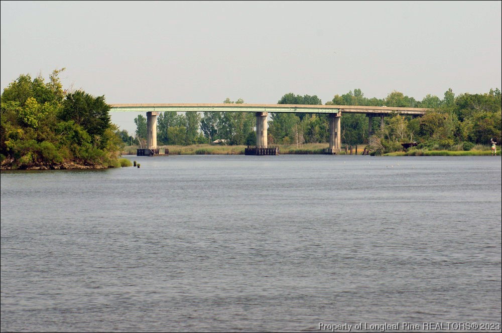Suggs Road Dunn, NC 28334 - Photo 6 of 9 a view of a big room with potted plants and big trees