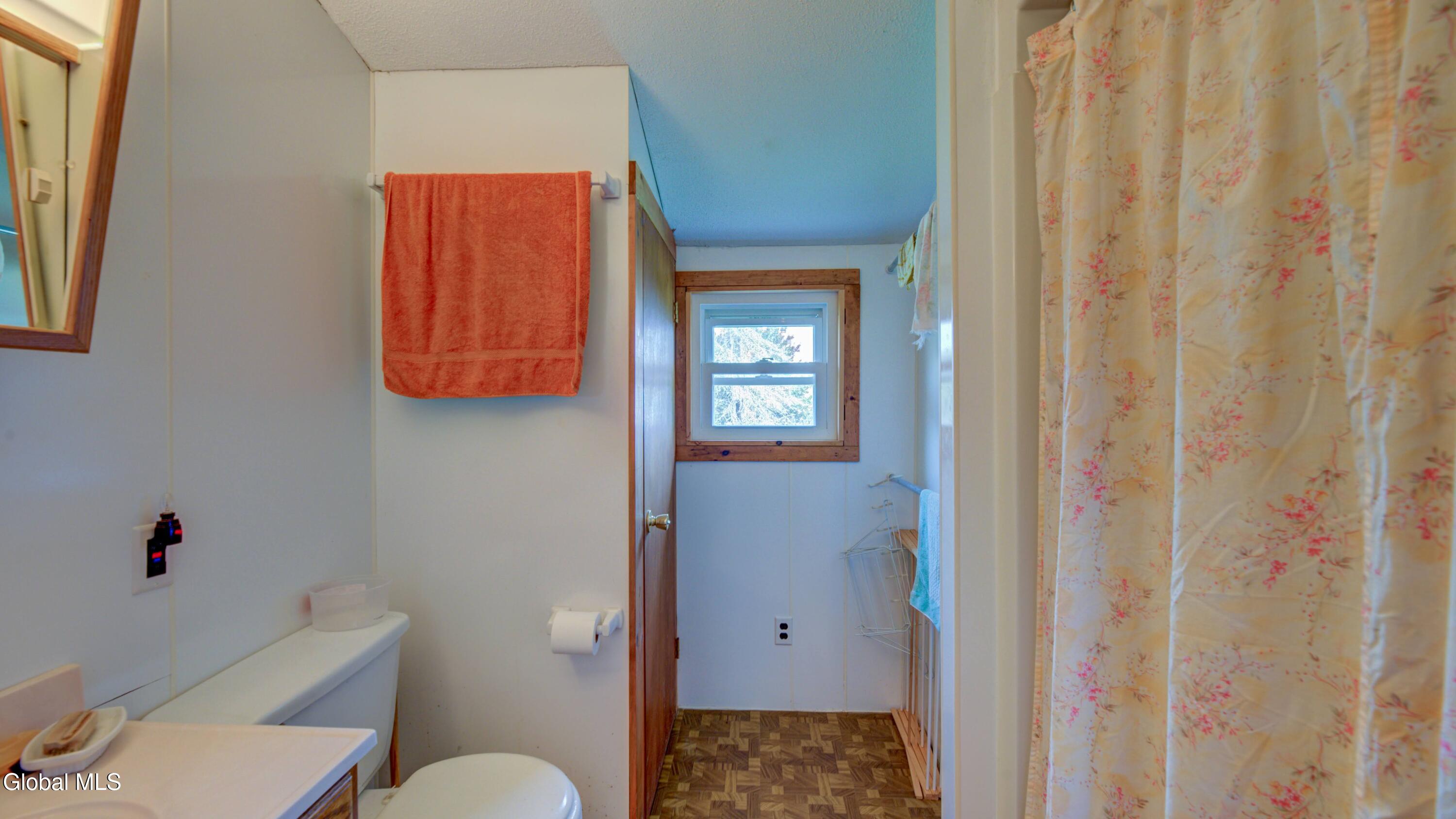 113 Brown Point Road Lake Pleasant, NY 12108 - Photo 12 of 40 113 Brown Point Rd-6