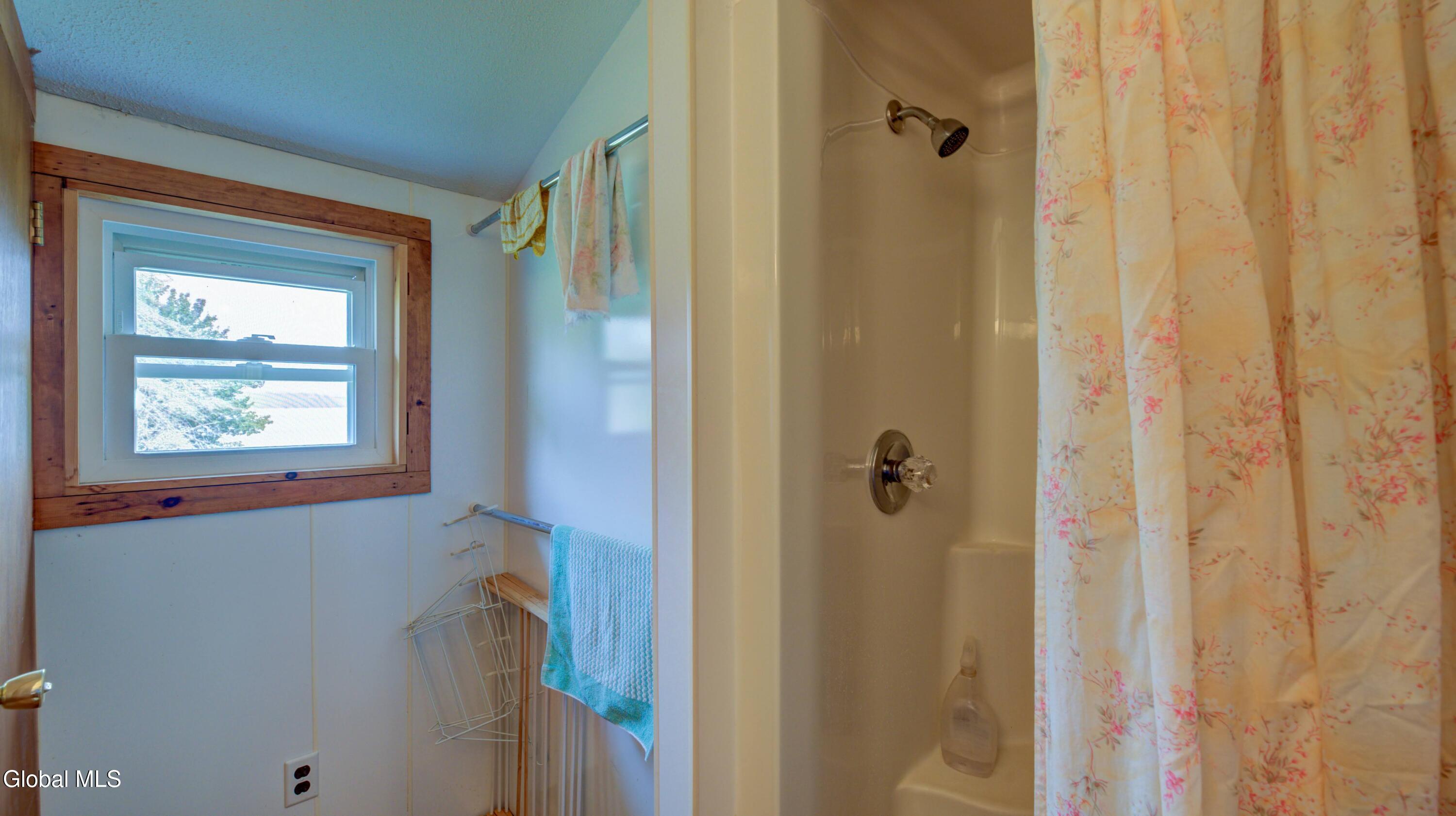 113 Brown Point Road Lake Pleasant, NY 12108 - Photo 14 of 40 113 Brown Point Rd-8