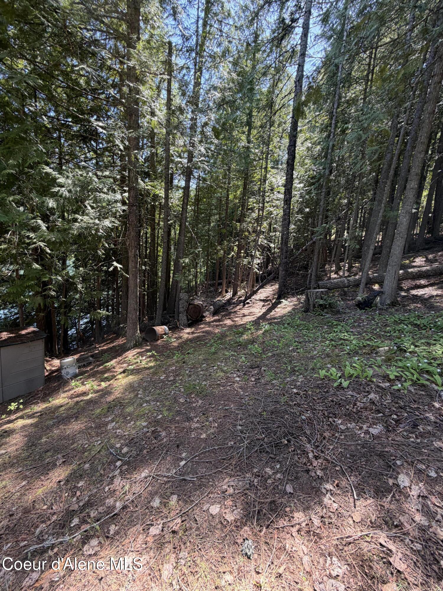14226 West Spirit Lake Road Rathdrum, ID 83858 - Photo 15 of 21 IMG_0322