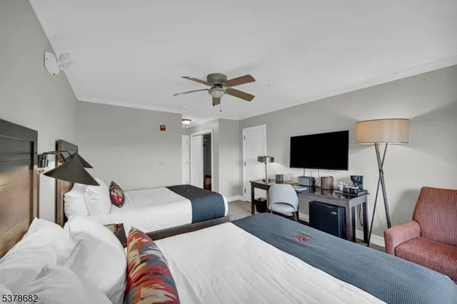 a view of a room with lots of potted plants