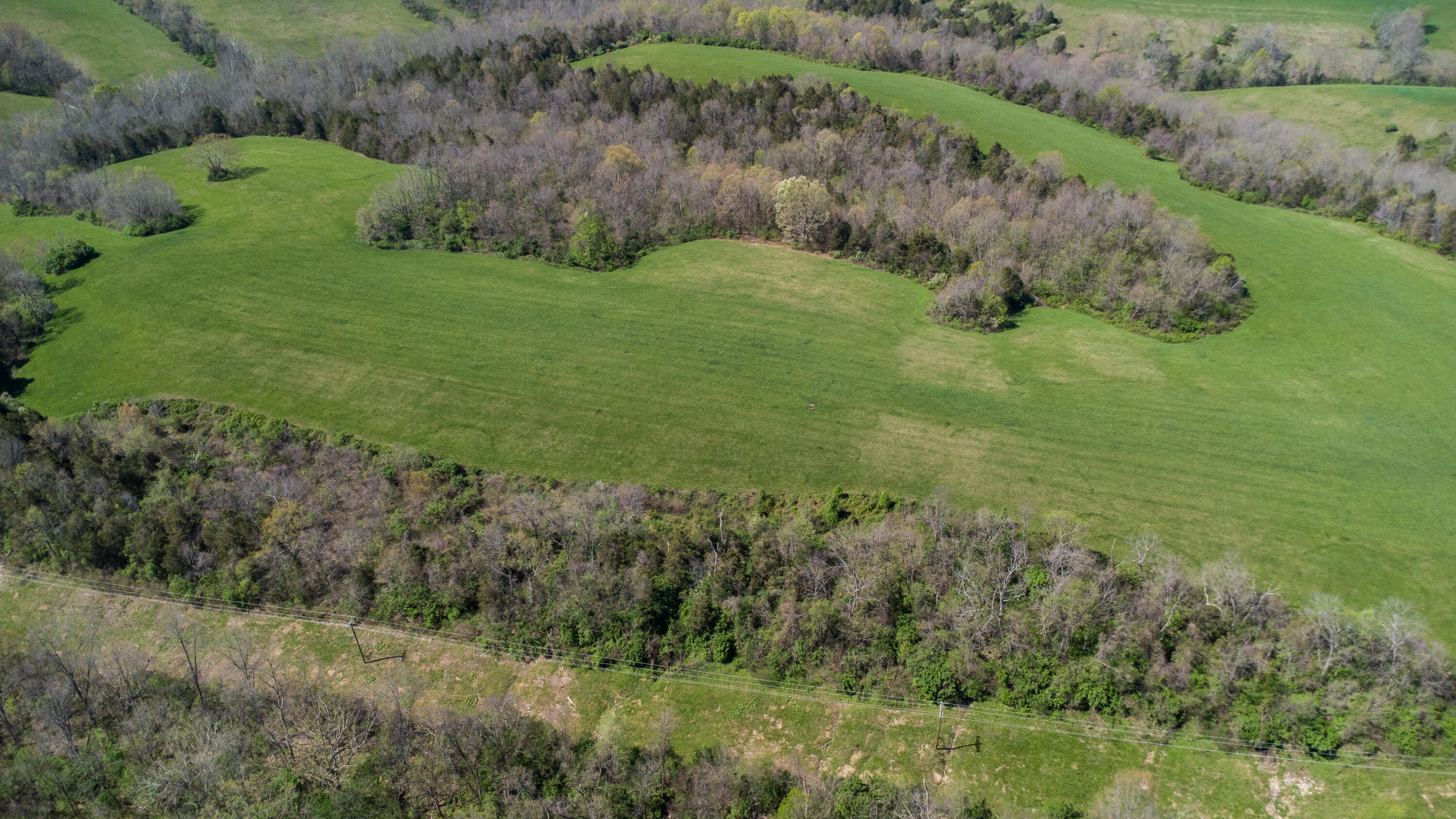 0 Baton Rouge 5.1 Acres Road Williamstown, KY 41097 - Photo 19 of 24 Gallery Image 19