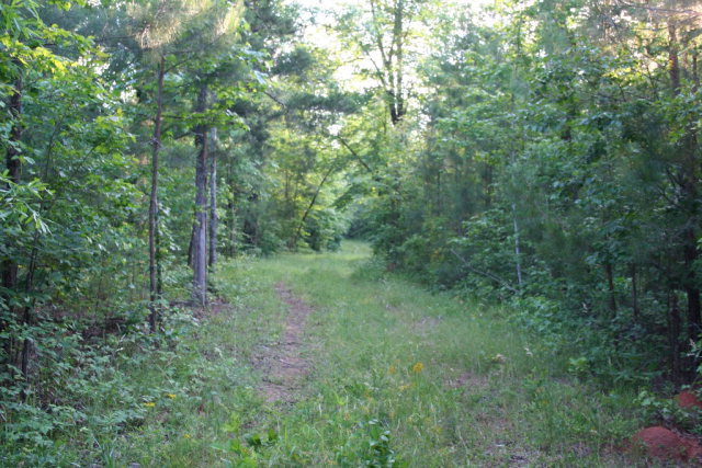 1 Cobbham Road Appling, GA 30802 - Photo 12 of 13