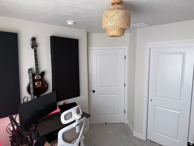 774 West 480 South American Fork, UT 84003 - Photo 56 of 76 Room featuring two white two-panel doors with black hardware, light neutral carpet, and a textured natural wood semi-flushmount ceiling light fixture