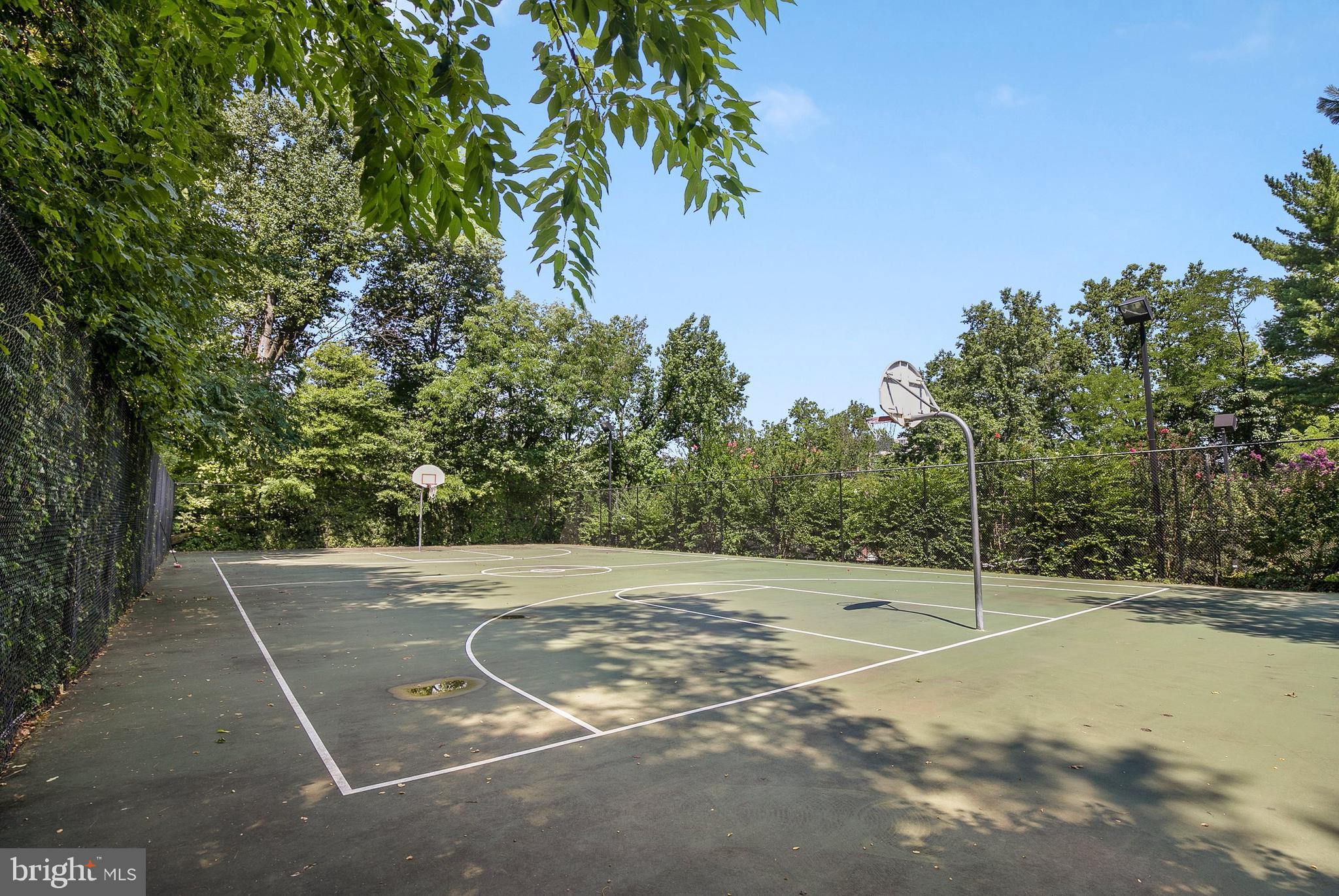 3428 Gunston Road Alexandria, VA 22302 - Photo 33 of 37