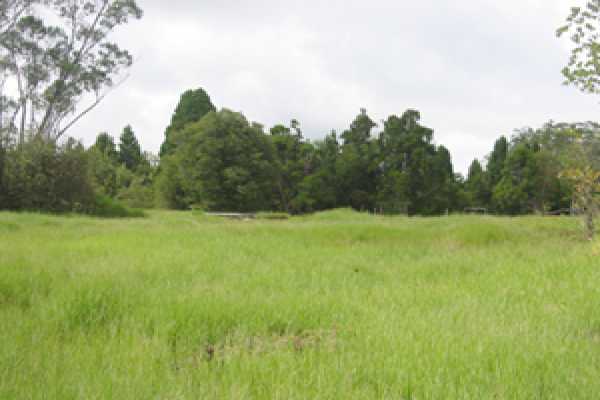 18-2660 Volcano Road Volcano, HI 96785 - Photo 4 of 4 a view of a field with a tree in it