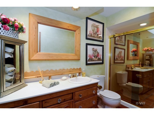 1507 Appleby Road Inverness, IL 60067 - Photo 19 of 25 a bathroom with a toilet a sink and a mirror