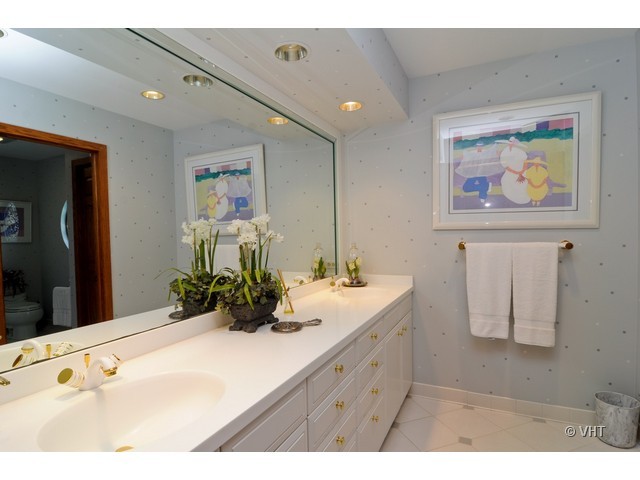 1507 Appleby Road Inverness, IL 60067 - Photo 20 of 25 a bathroom with a granite countertop sink a mirror and a shower