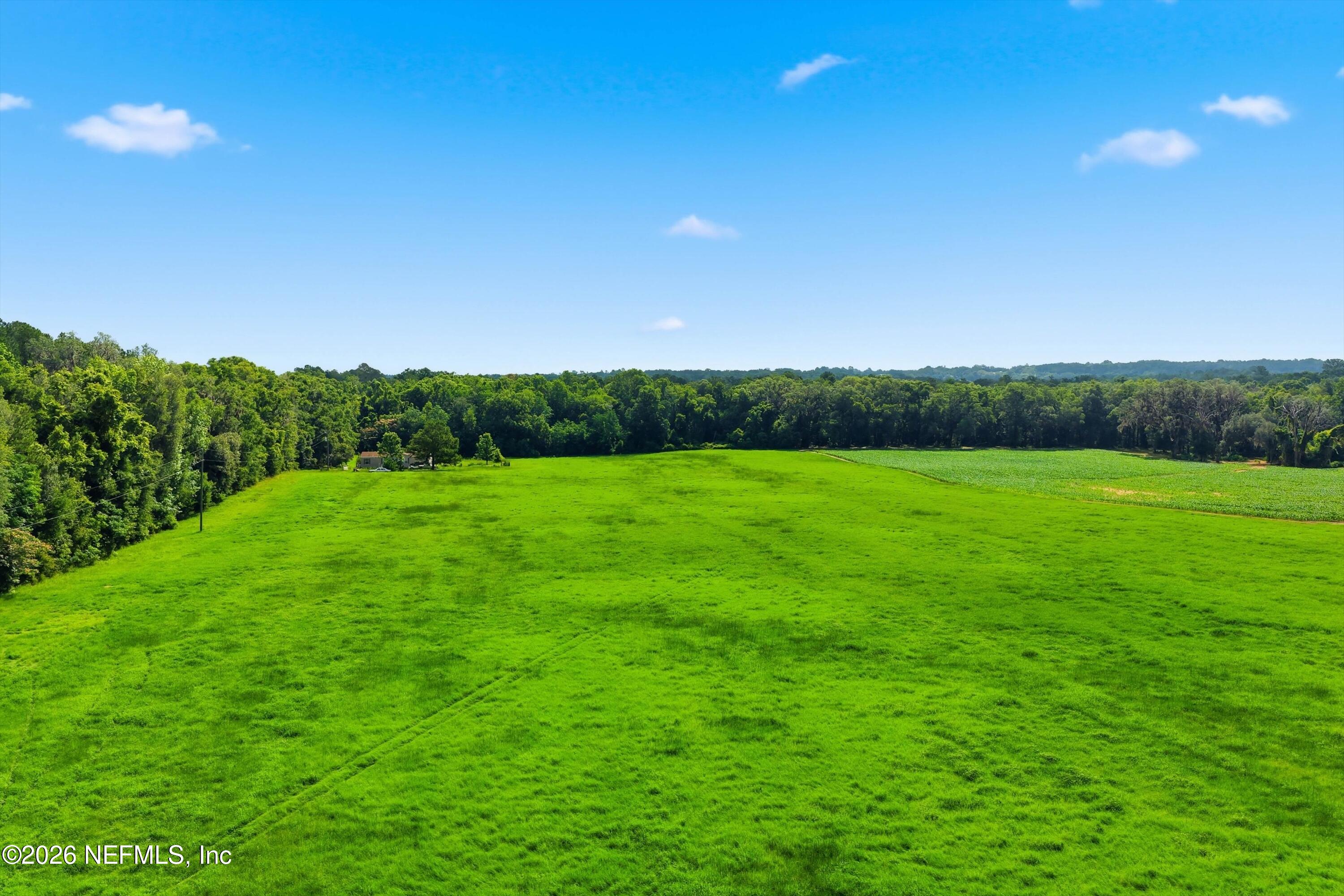 25417 Old Bellamy Road High Springs, FL 32643 - Photo 11 of 16 07-Aerial View