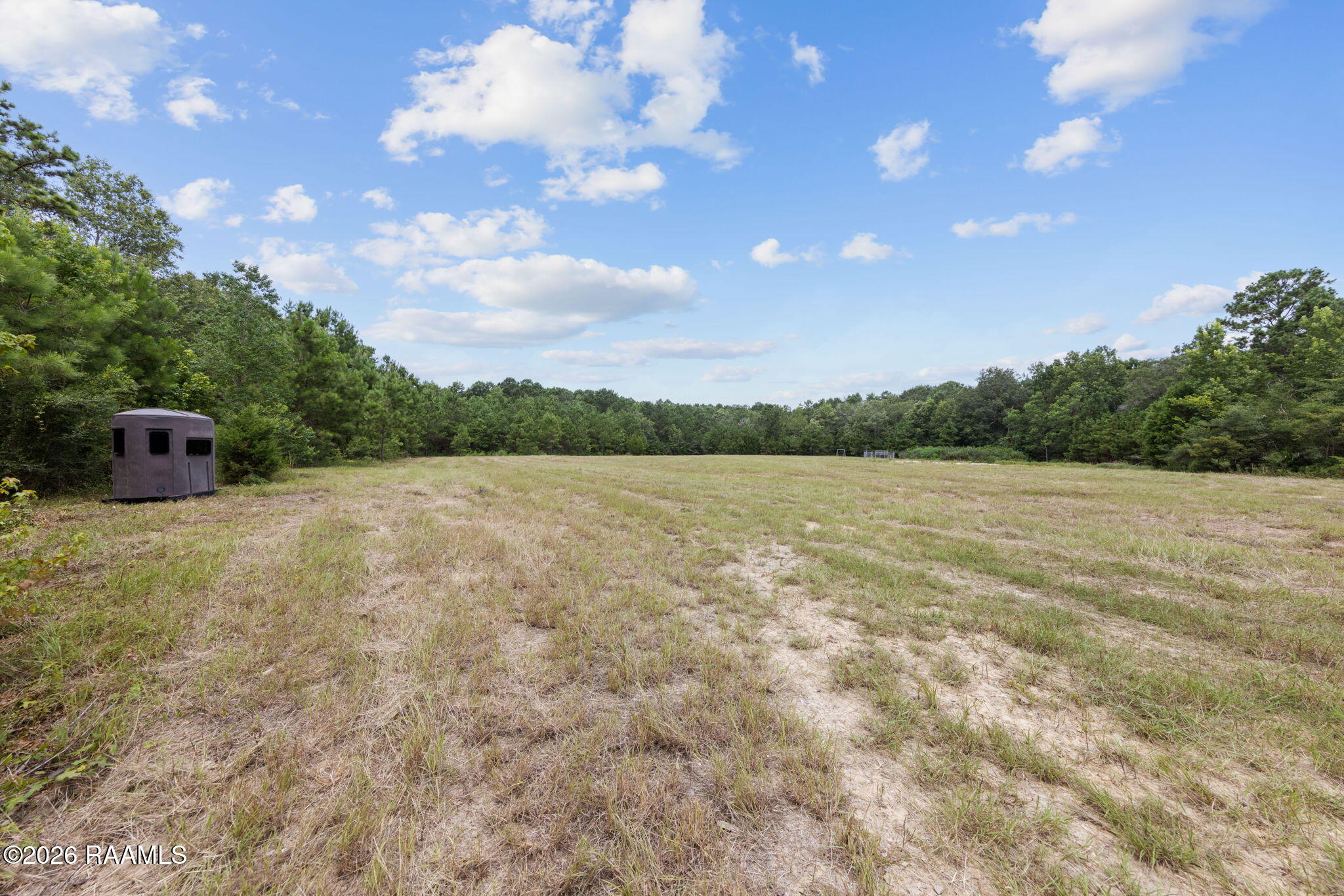 301 Crabapple Road Iota, LA 70543 - Photo 14 of 40 14-web-or-mls-803A6145
