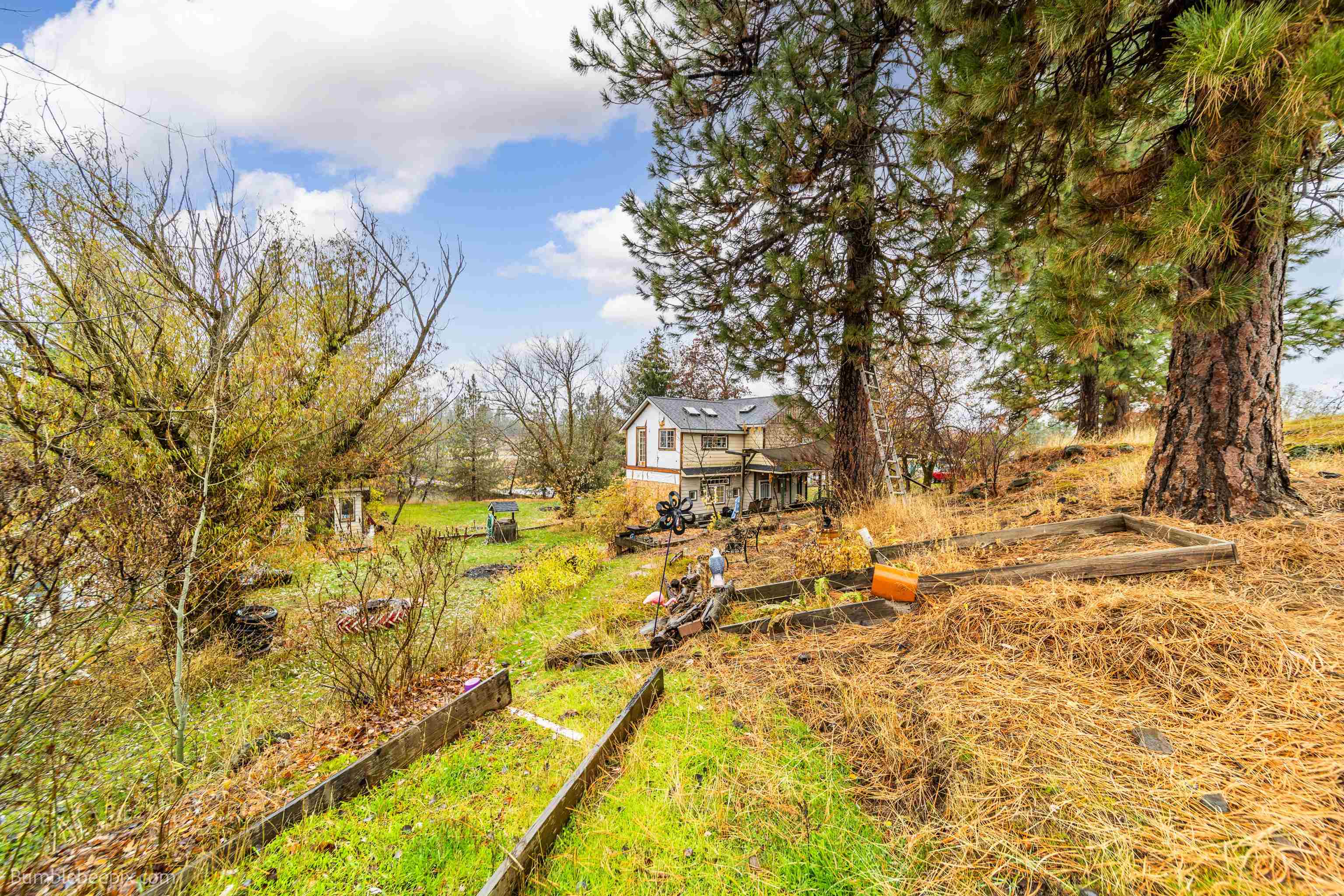 14302 East Robert Road Mica, WA 99023 - Photo 10 of 18