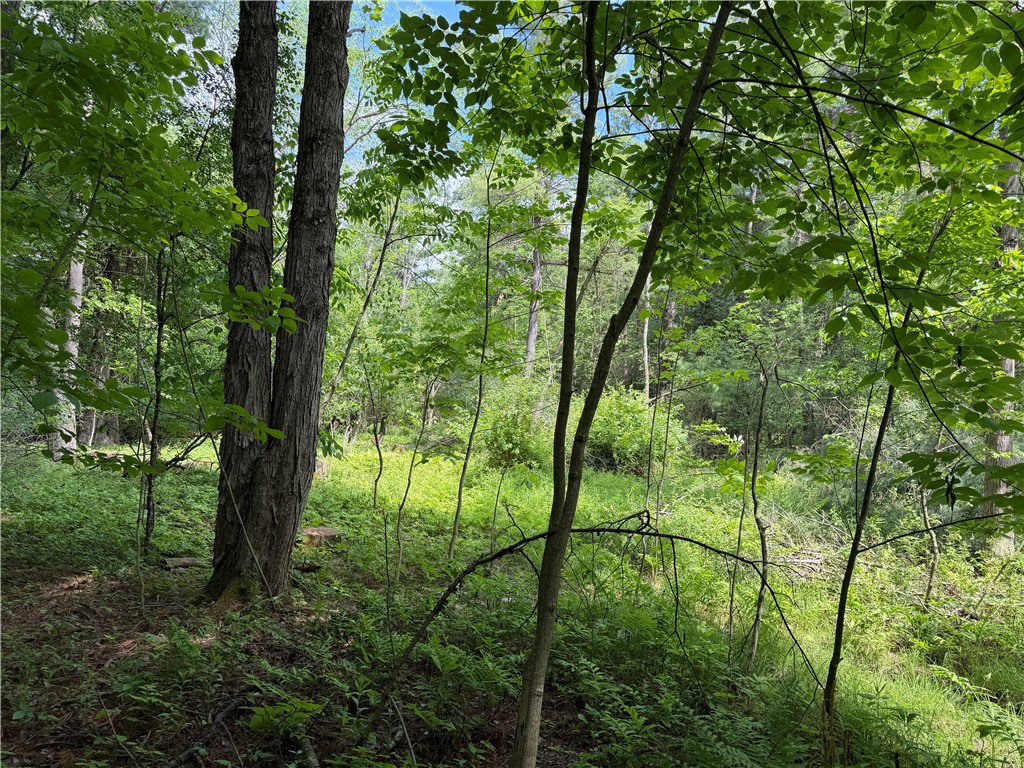 Vl Reed Road Dansville, NY 14437 - Photo 22 of 29