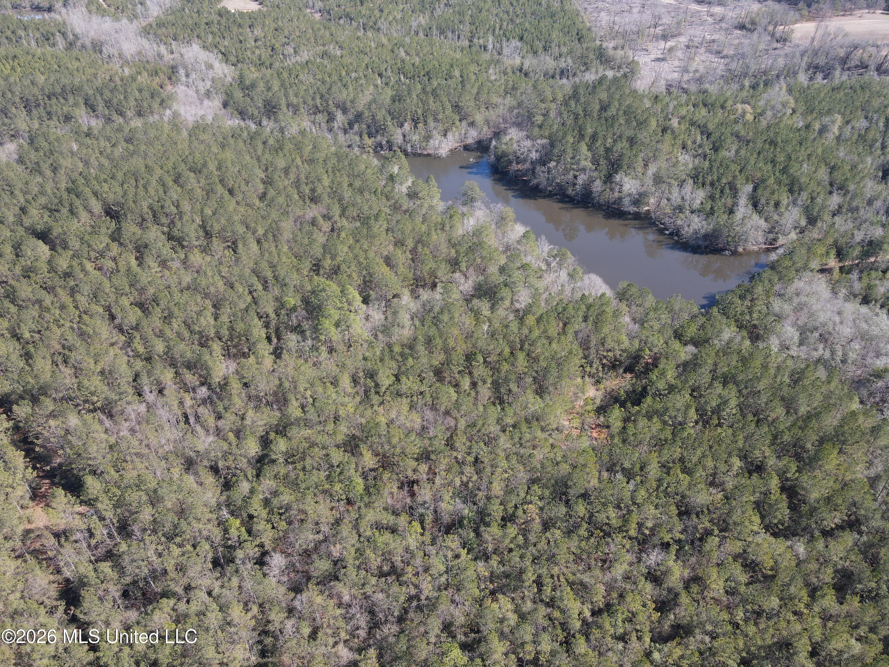 42 Mississippi State Line, MS 39362 - Photo 73 of 87 Photo Jan 27 2026, 11 58 27 AM