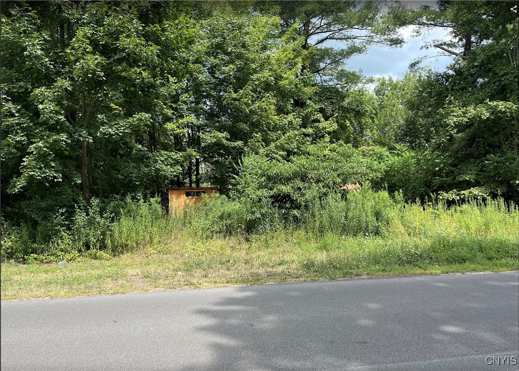 356 Lower Road Constantia, NY 13044 - Photo 6 of 10