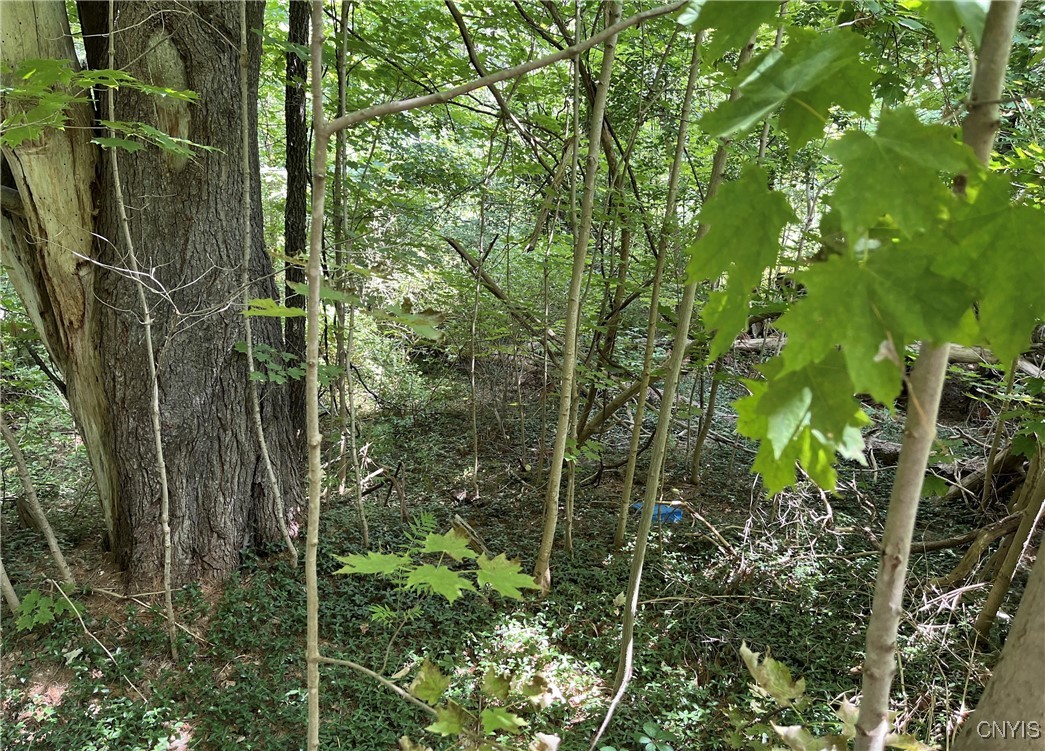 356 Lower Road Constantia, NY 13044 - Photo 7 of 10