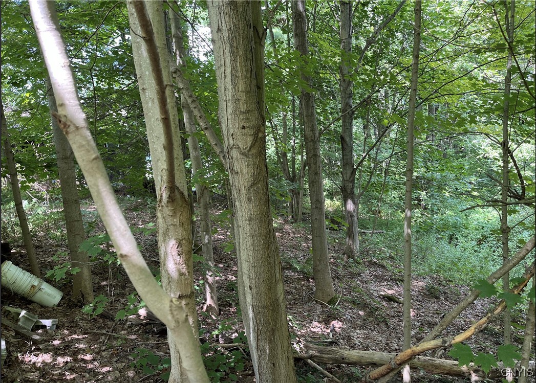 356 Lower Road Constantia, NY 13044 - Photo 8 of 10