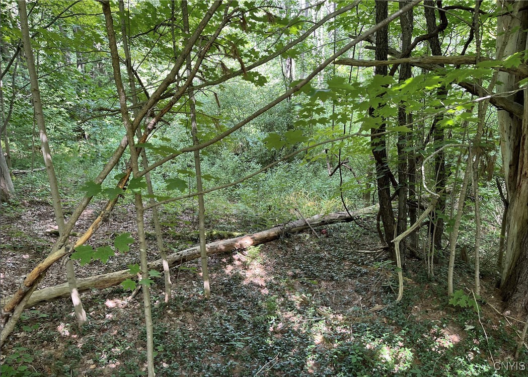 356 Lower Road Constantia, NY 13044 - Photo 9 of 10