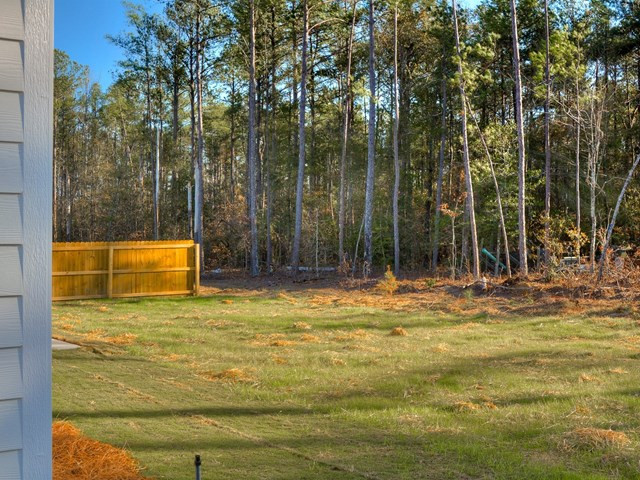 160 Swinton Pond Road Grovetown, GA 30813 - Photo 29 of 31