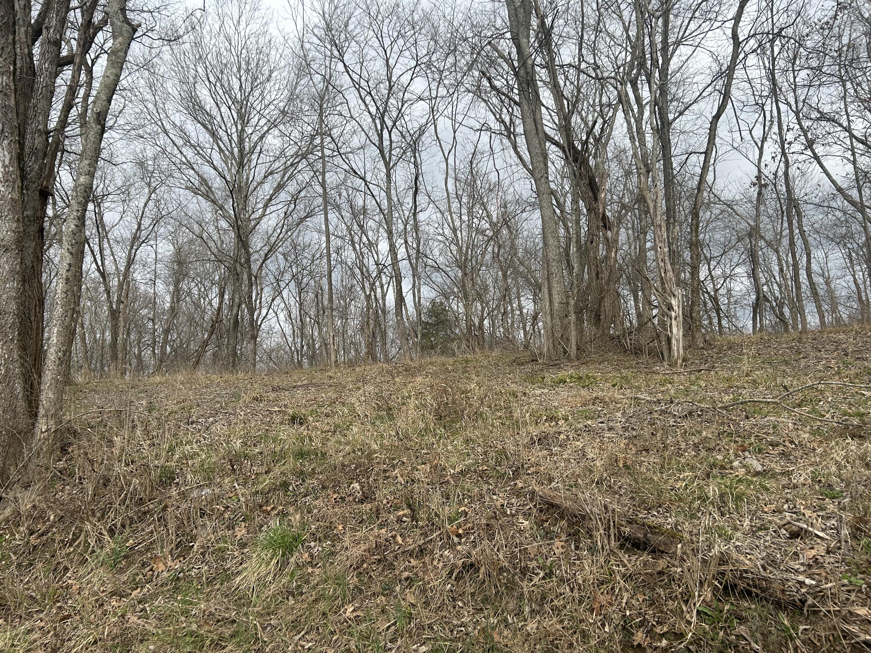 Lot # New Zion Road Falmouth, KY 41040 - Photo 6 of 9