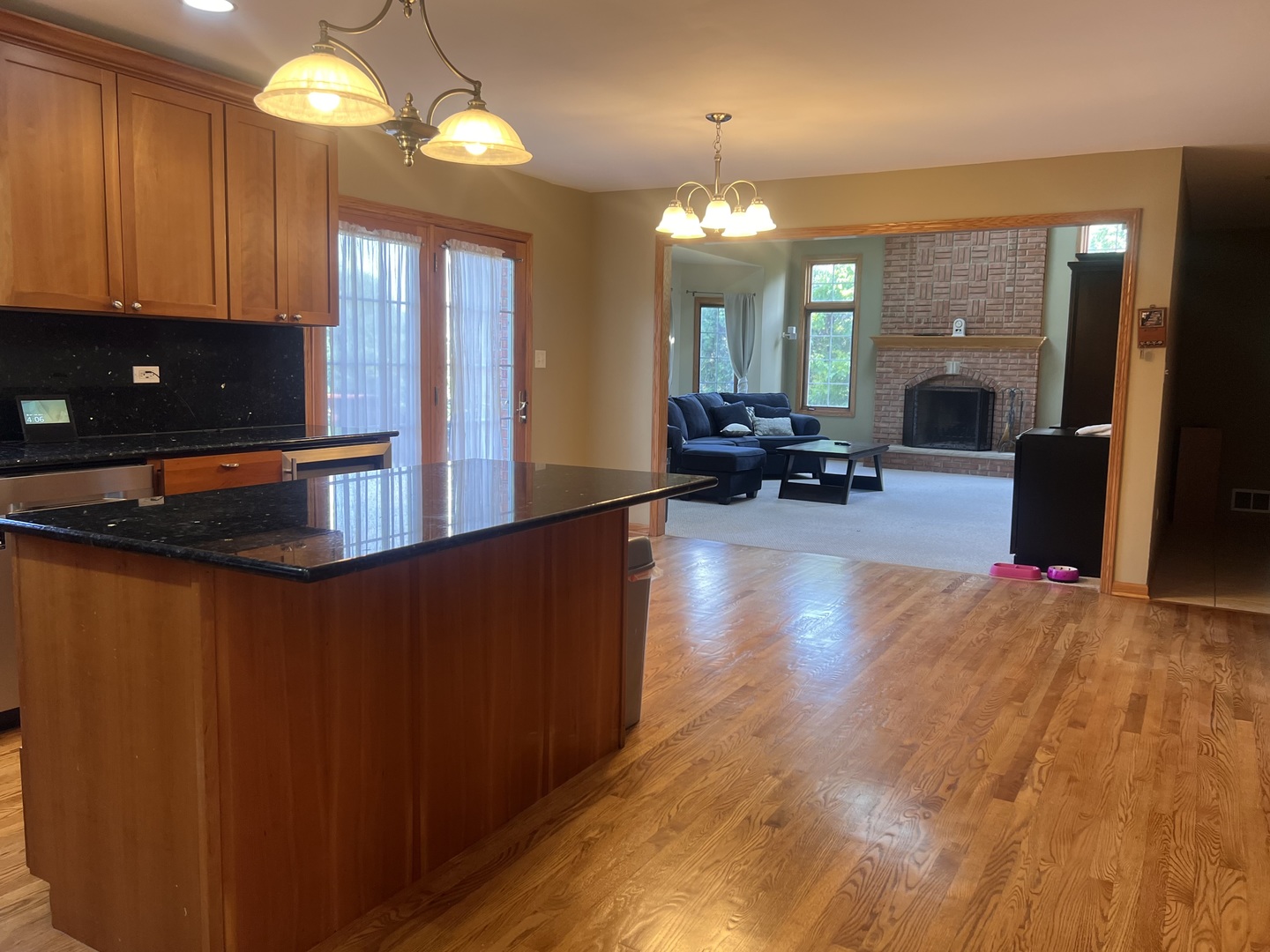 21367 Brittany Drive Frankfort, IL 60423 - Photo 9 of 58