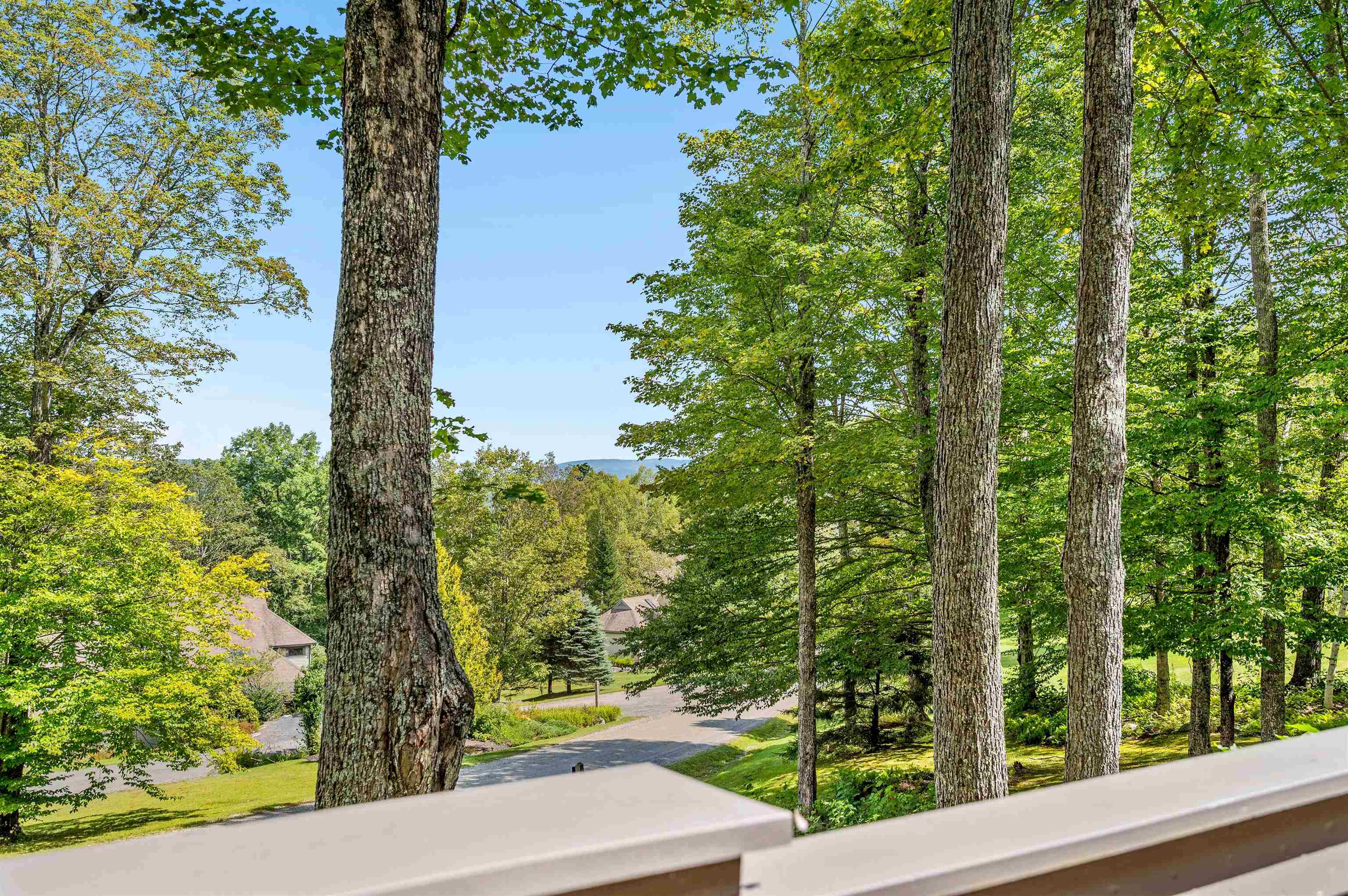 1171 Brook Road, Unit 14 Stowe, VT 05672 - Photo 28 of 53