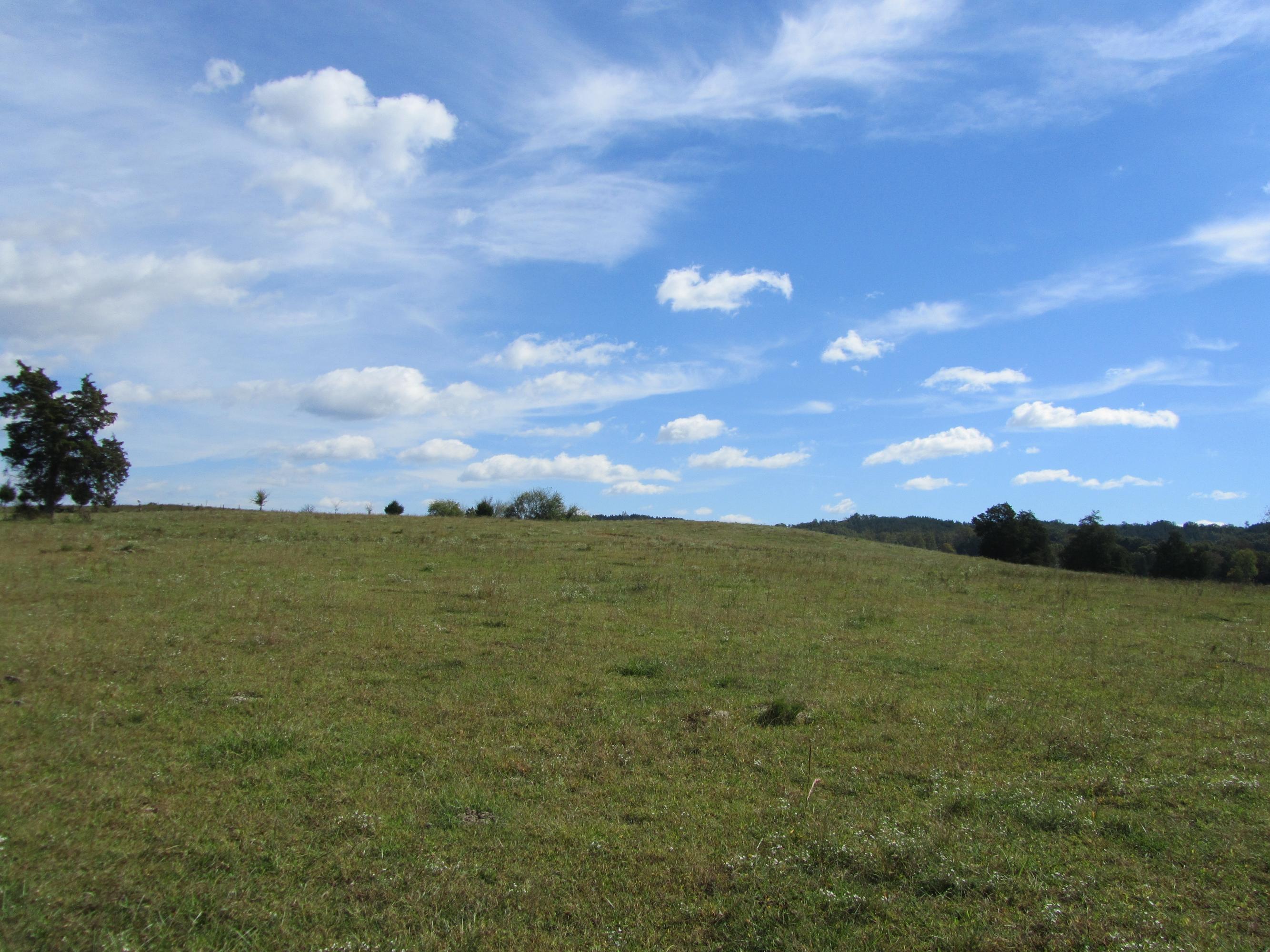 293 Old Ten Mile Road Ten Mile, TN 37880 - Photo 3 of 38 3