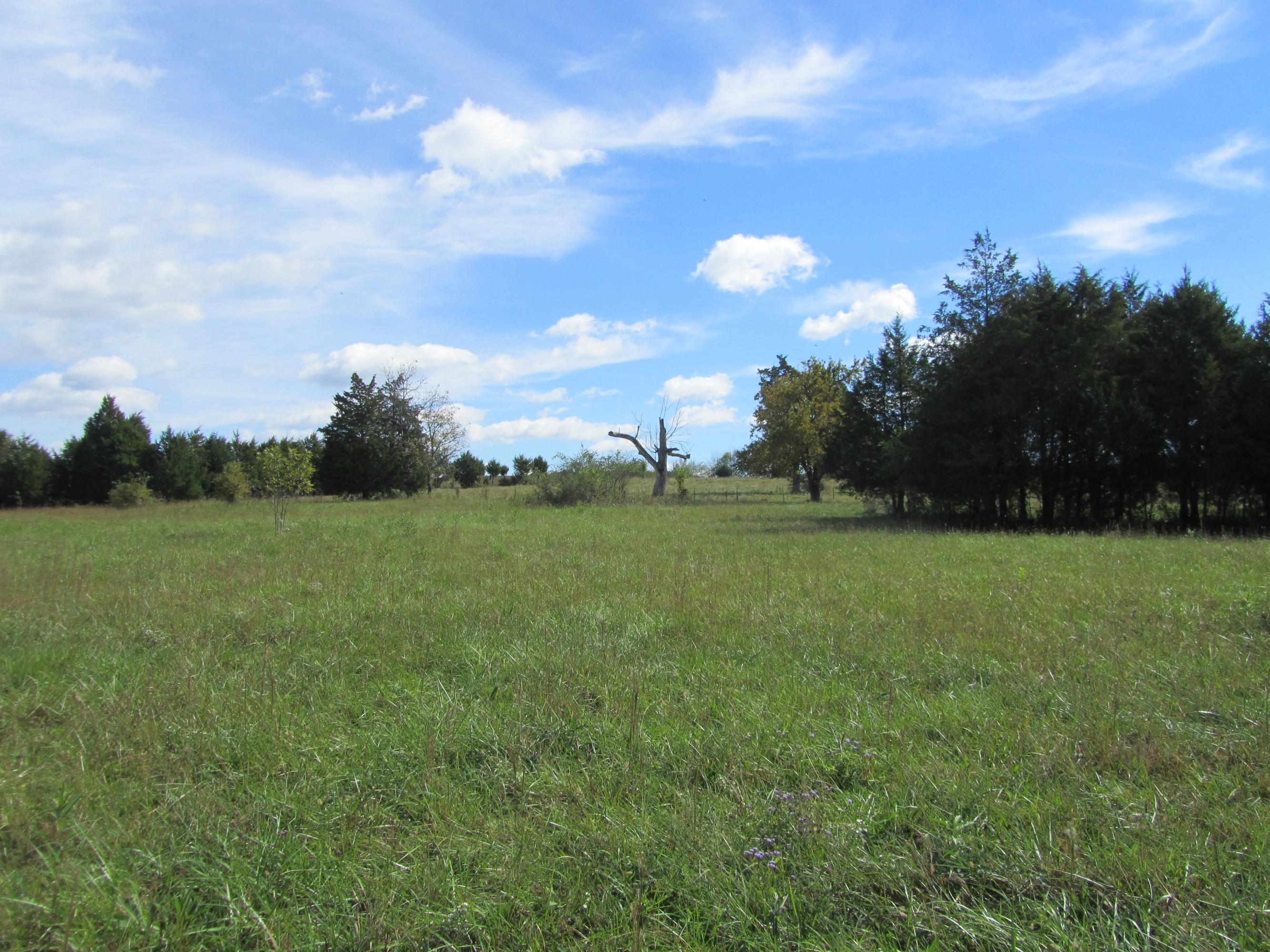 293 Old Ten Mile Road Ten Mile, TN 37880 - Photo 23 of 38 IMG_4952