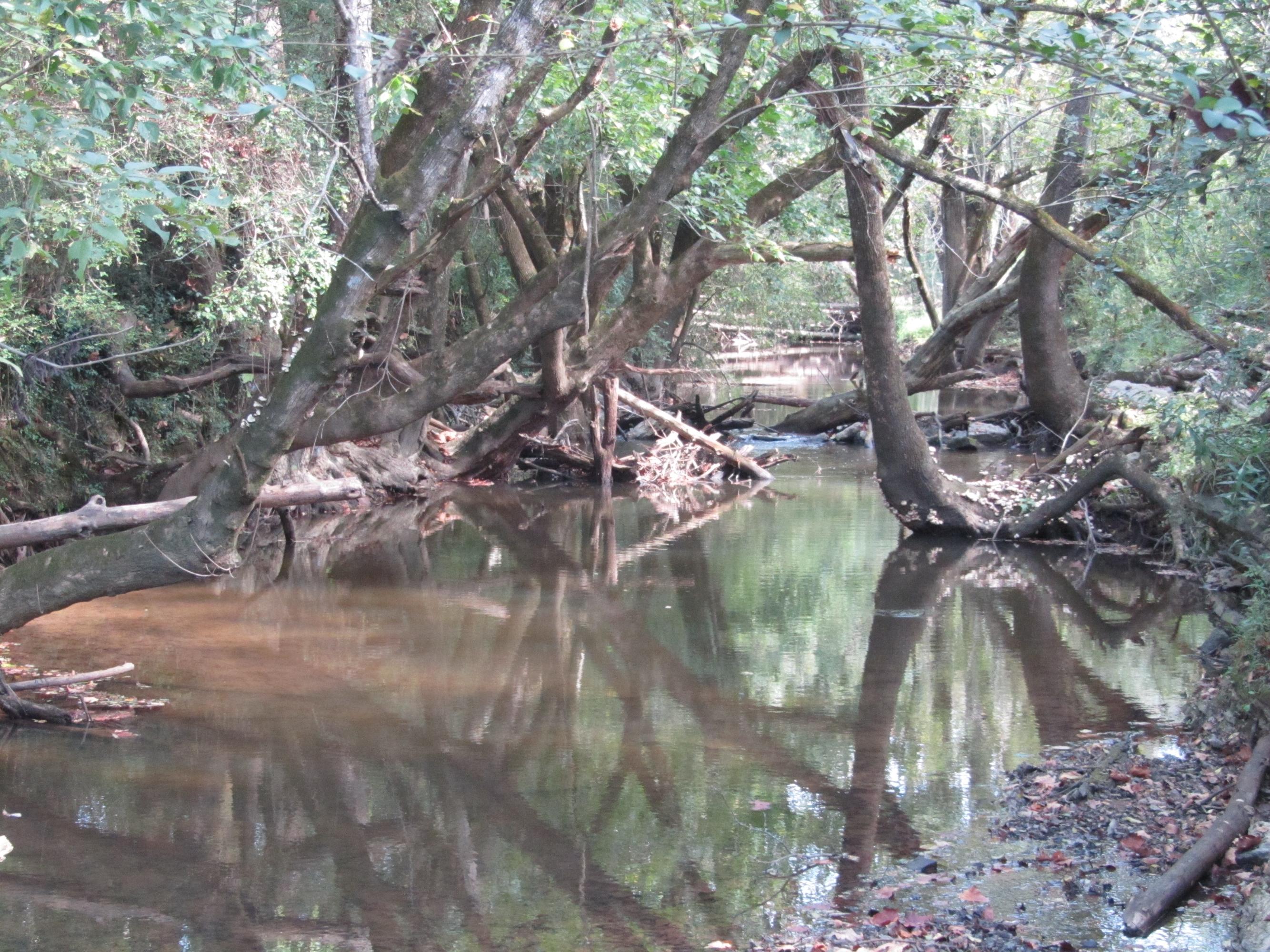 293 Old Ten Mile Road Ten Mile, TN 37880 - Photo 24 of 38 IMG_4954