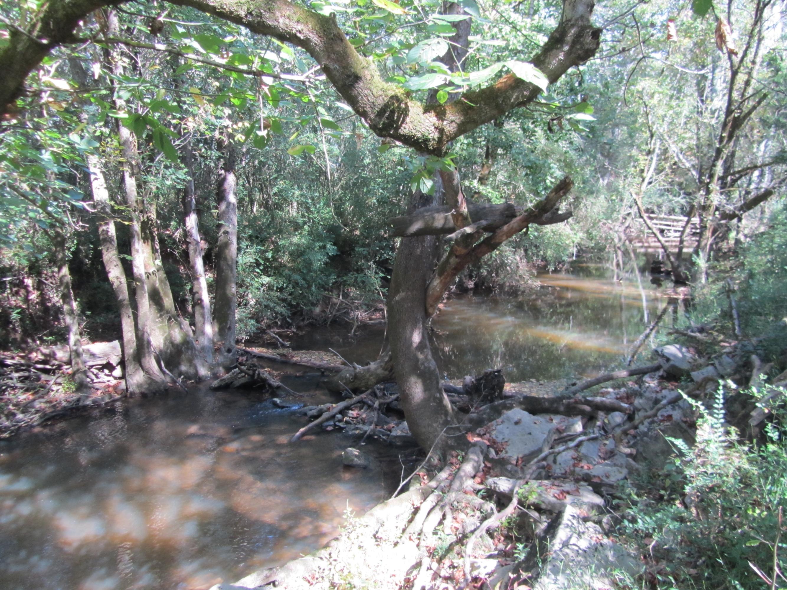 293 Old Ten Mile Road Ten Mile, TN 37880 - Photo 27 of 38 IMG_4958
