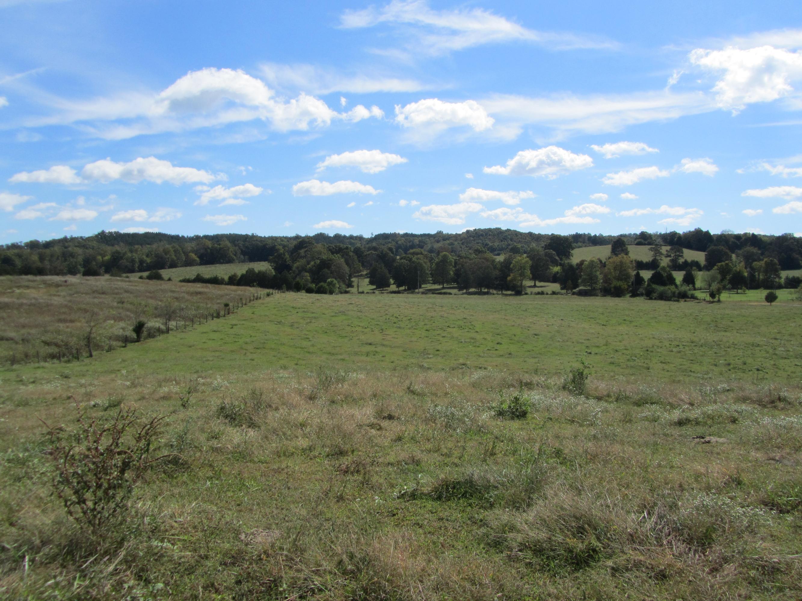 293 Old Ten Mile Road Ten Mile, TN 37880 - Photo 28 of 38 IMG_4961