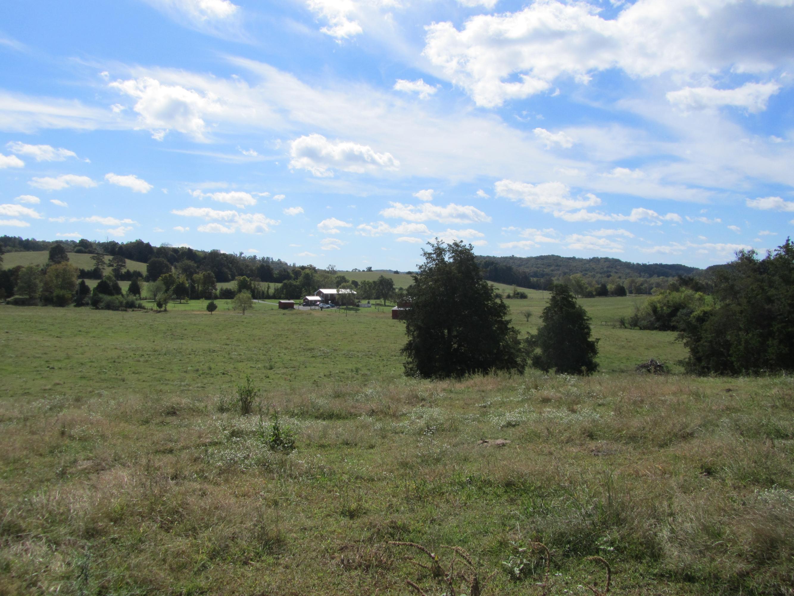 293 Old Ten Mile Road Ten Mile, TN 37880 - Photo 30 of 38 IMG_4964
