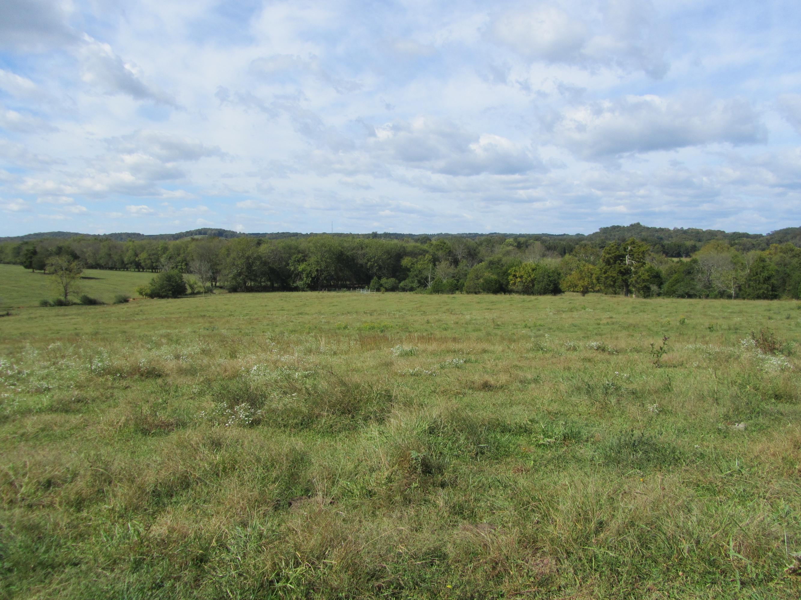 293 Old Ten Mile Road Ten Mile, TN 37880 - Photo 4 of 38 4