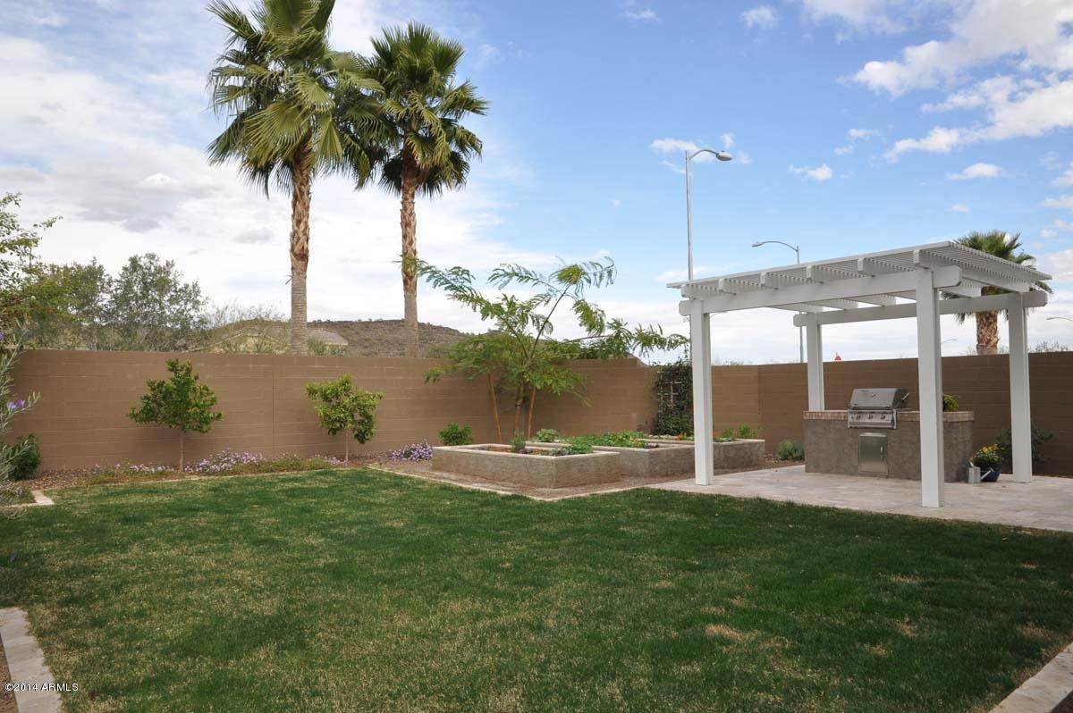 5420 West Yearling Road Phoenix, AZ 85083 - Photo 34 of 42 Backyard2