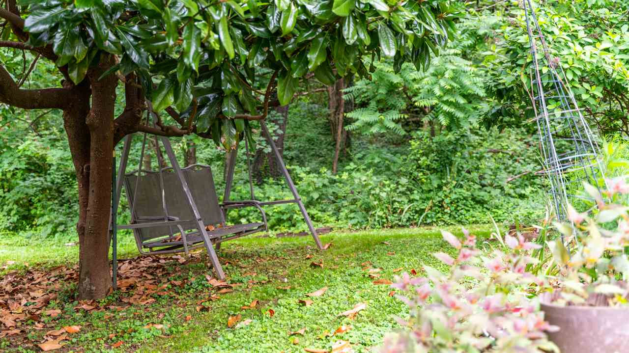 235 Overlook Road Staunton, VA 24401 - Photo 30 of 37 a backyard of a house with lots of green space