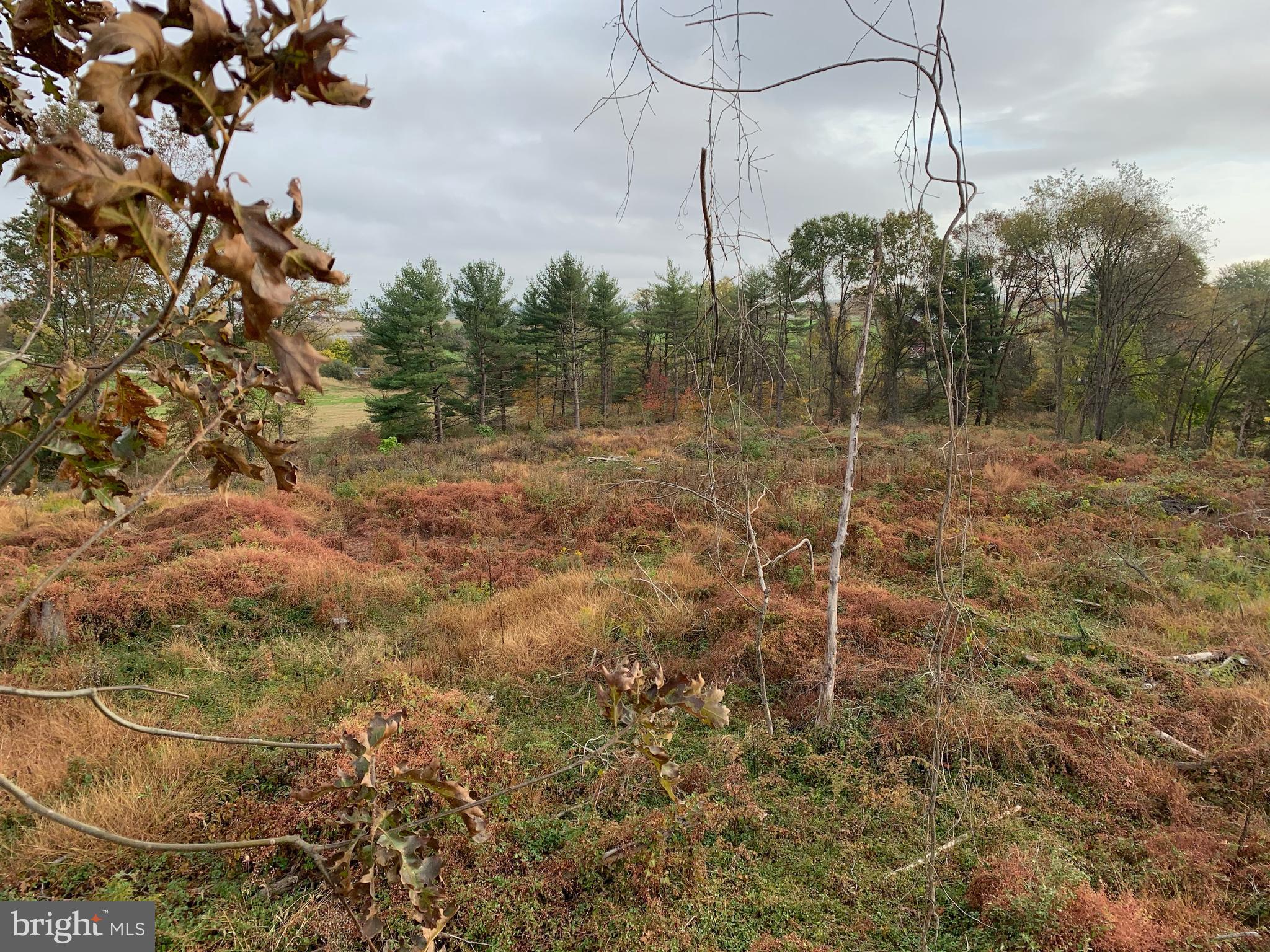 0 Old Hershey Road Elizabethtown, PA 17022 - Photo 23 of 23 Gallery Image 23