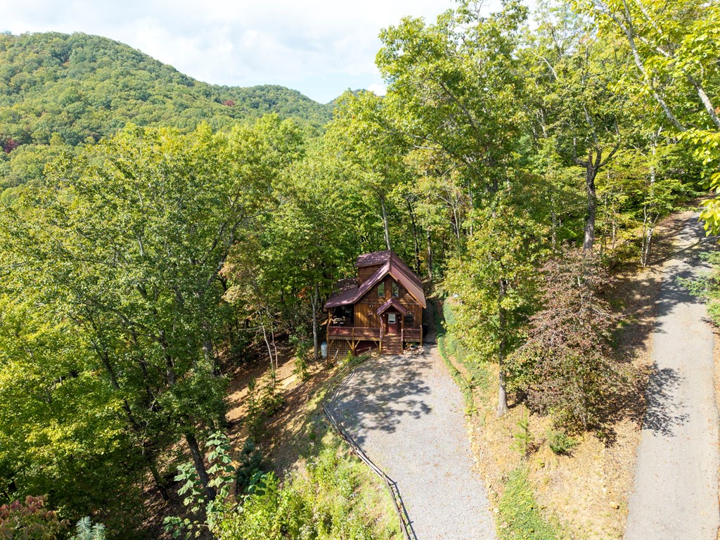 205 Copper Mountain Drive Murphy, NC 28906 - Photo 4 of 29 a backyard of a house with large trees and plants