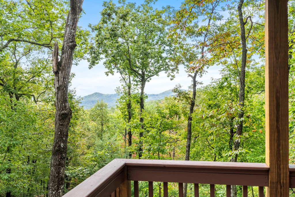 205 Copper Mountain Drive Murphy, NC 28906 - Photo 10 of 29 a view of a garden from a window