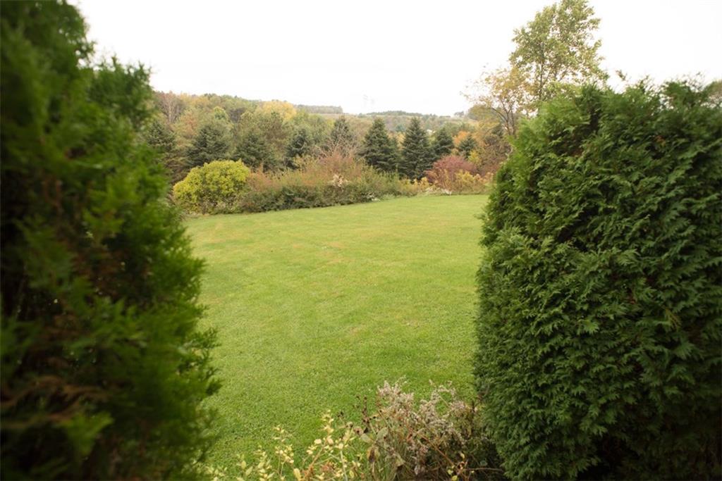 376 Stable Road Indiana, PA 15701 - Photo 15 of 16 Property