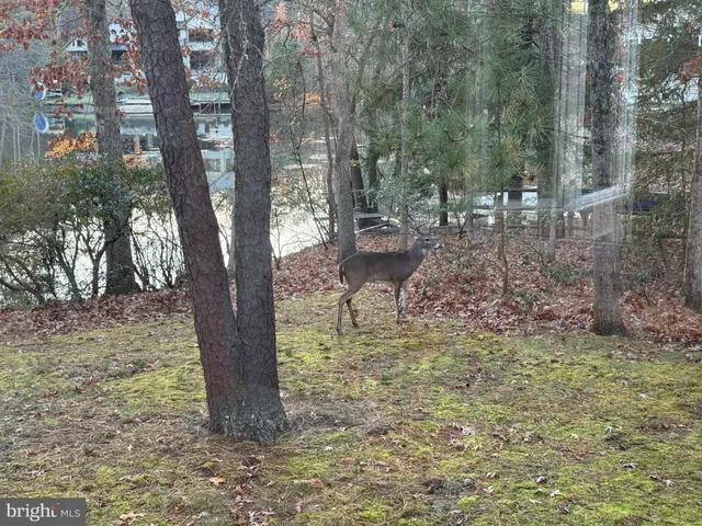 $850,000 | 7 Pontiac Drive, Medford, NJ 08055