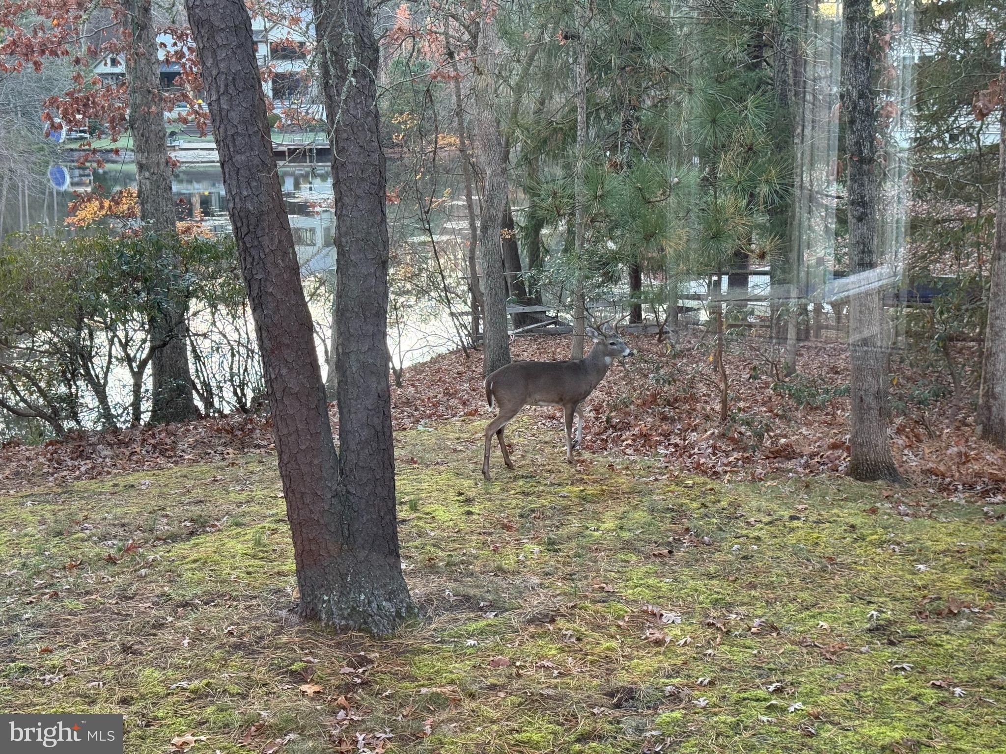 7 Pontiac Drive Medford, NJ 08055 - Photo 43 of 49 a backyard of a house with lots of green space