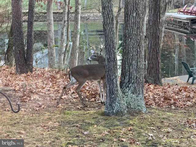 $850,000 | 7 Pontiac Drive, Medford, NJ 08055