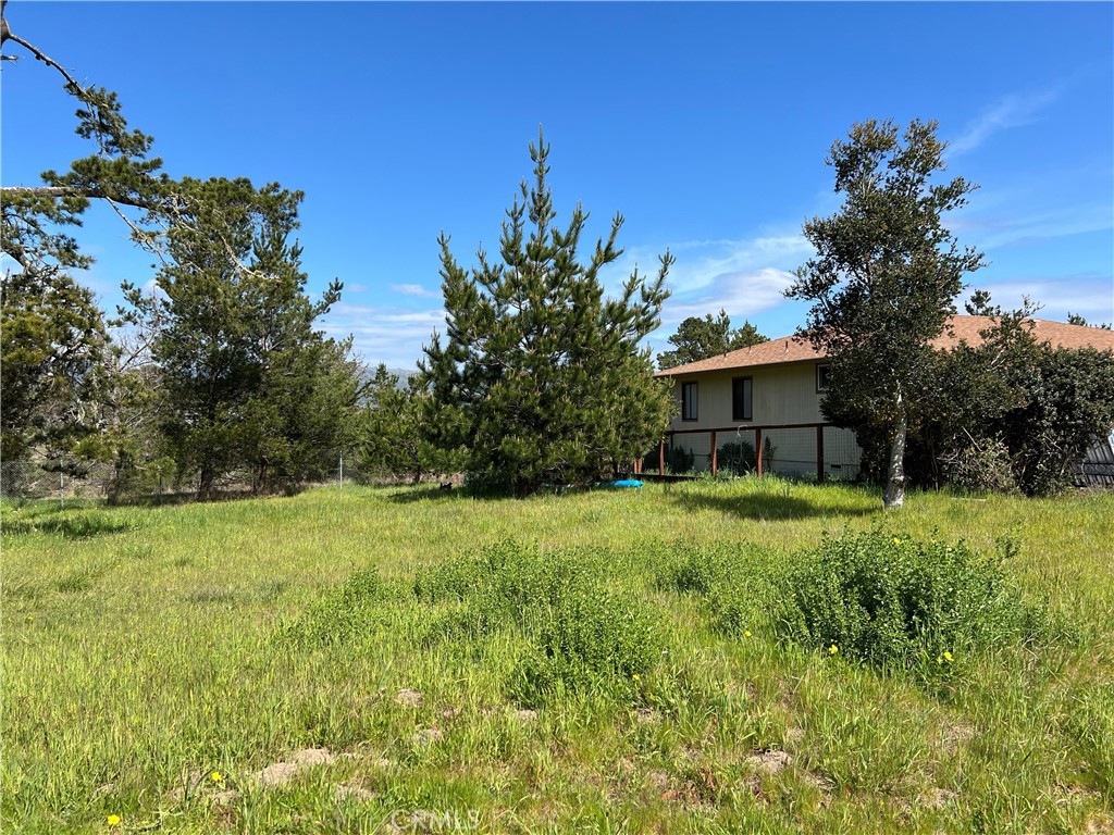 2540 Malvern Street Cambria, CA 93428 - Photo 3 of 11 a front view of a house with a yard