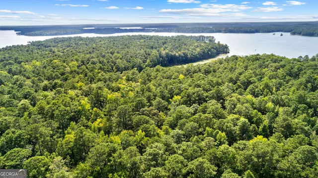 a view of a lake with a yard