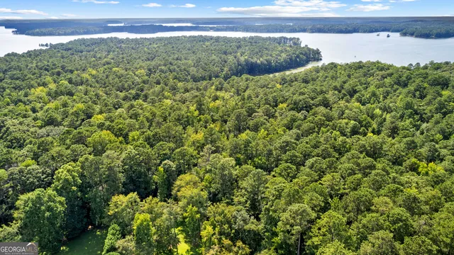 a view of a lake with a park