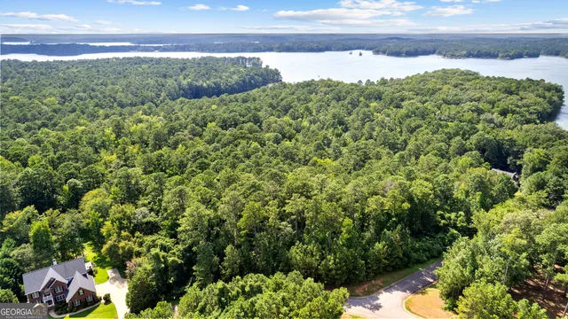 a view of a yard with an outdoor space