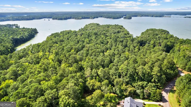 a view of a lake with a park
